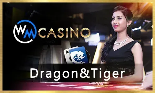 Online bingo community chat on me777