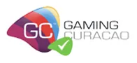 24/7 customer support icon